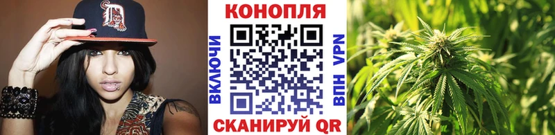 Канабис конопля  Мурино 